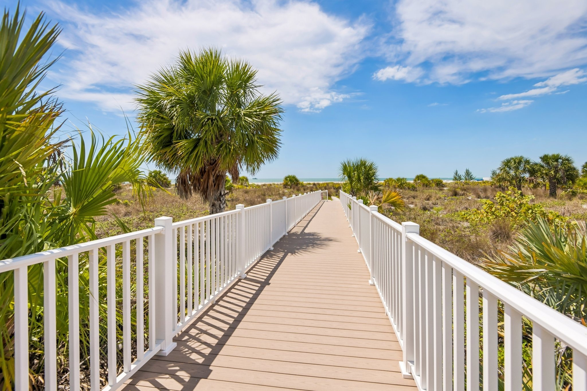 Palm trees and Gulf sky at Sand Key Beach, Clearwater Beach FL