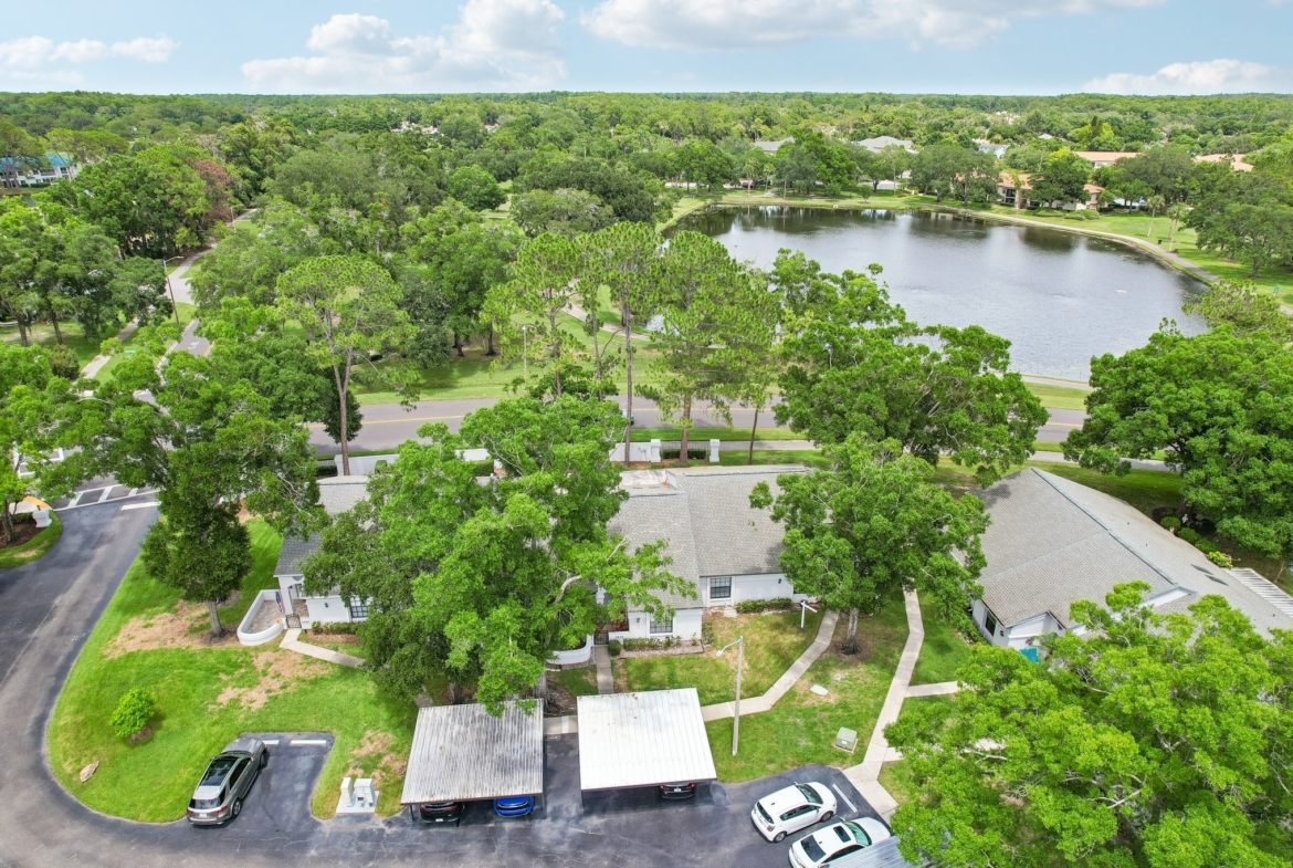 Aerial of Crystal Lake and the adjacent park behind 3878 Tanager Pl in Palm Harbor, FL