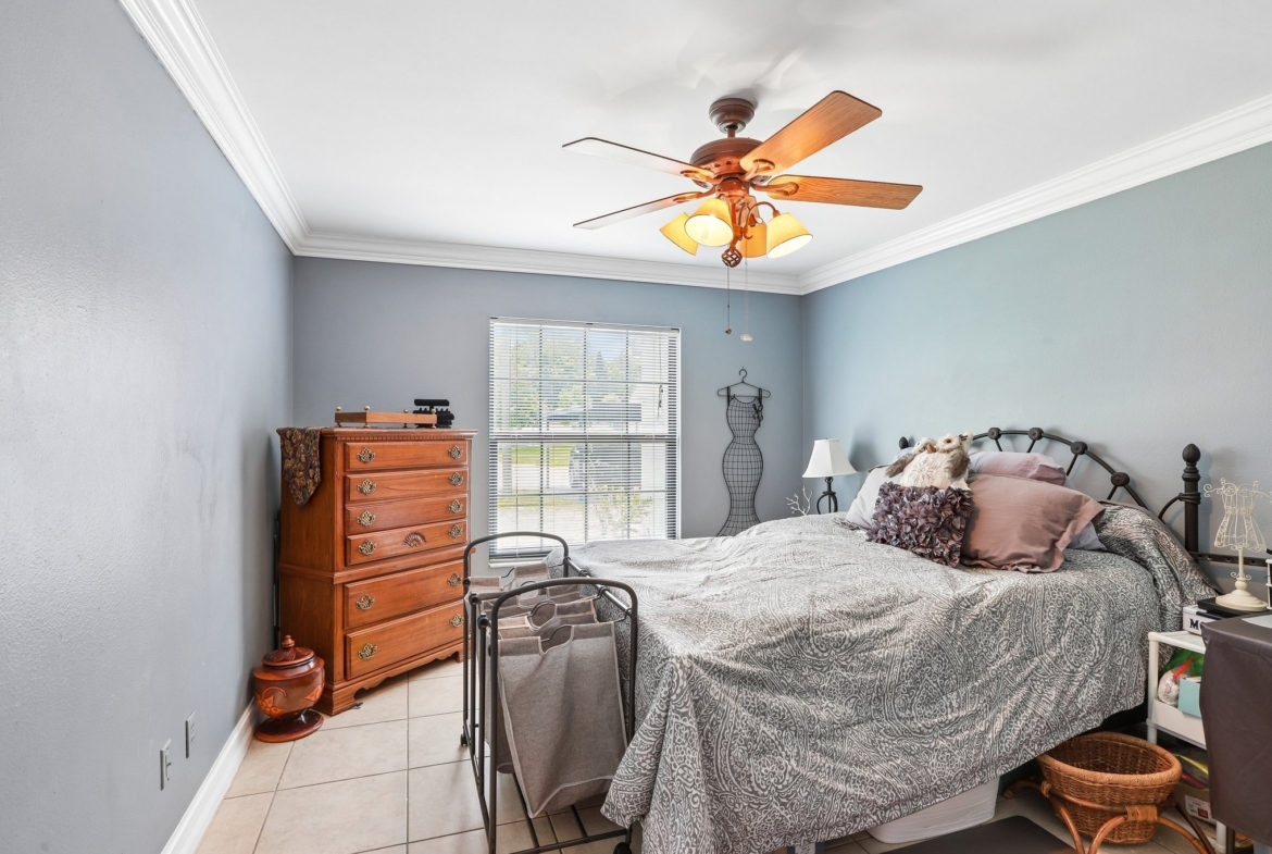 Primary bedroom with ceiling fan and walk-in closet at 3878 Tanager Pl, Palm Harbor FL