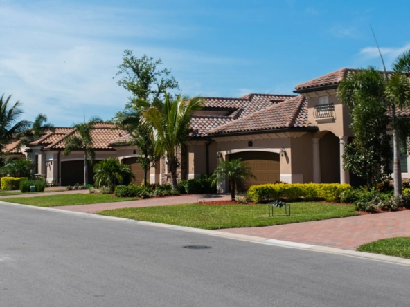 Palm-lined Florida neighborhood street with single-family homes