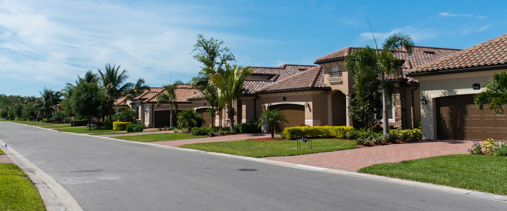 Palm-lined Florida neighborhood street with single-family homes